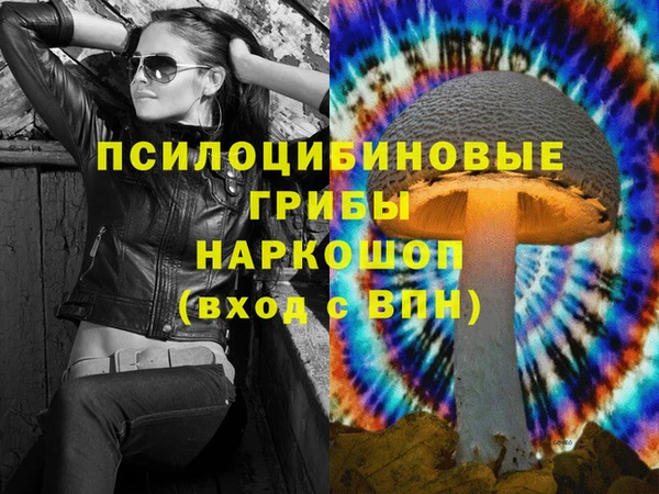 шишки Алзамай