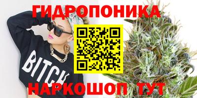 прущий лед Гатчина
