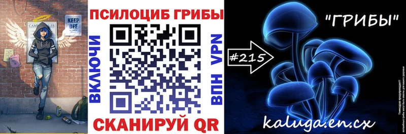 Псилоцибиновые грибы мицелий  Камышин 