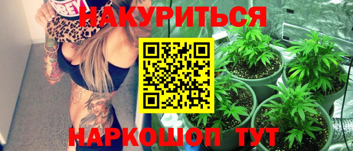 Конопля OG Kush  Вход с VPN  Каннабис планчик  Камышин 